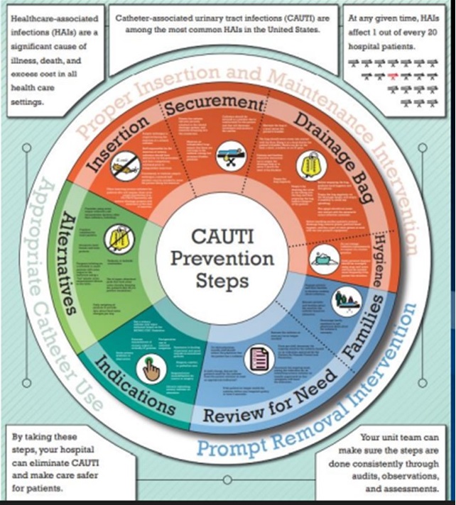 a circular chart shows the CAUTI prevention steps