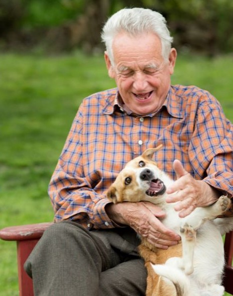 Senior white man in plaid shirt playing with a small dog